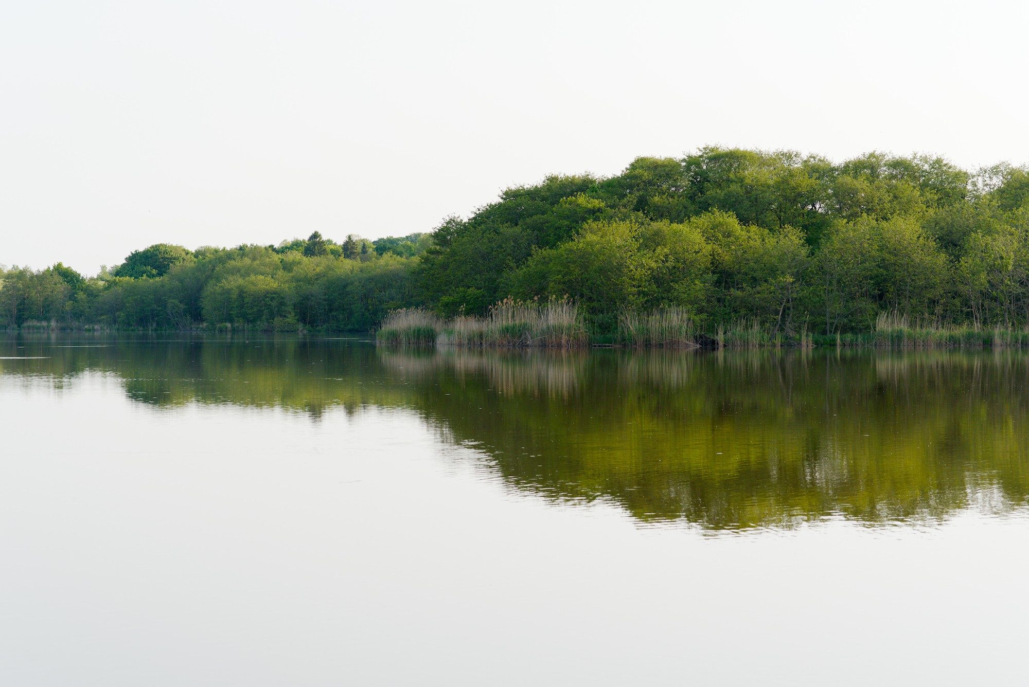 Schloonsee, Bansin